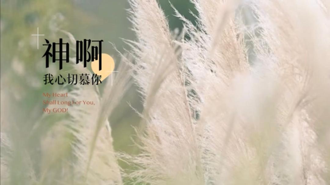 WhatsApp 图像2025-10-15于14.03.07_e33494b0.jpg