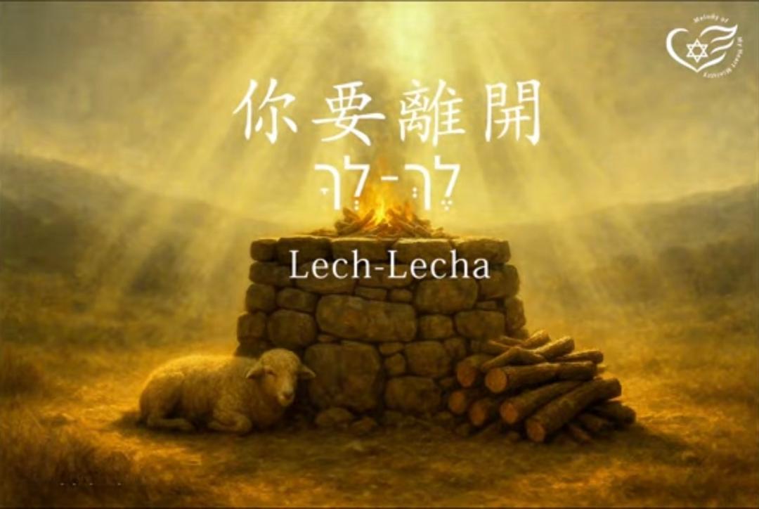 WhatsApp 图像2025-10-30于16.45.04_7a958f1e.jpg