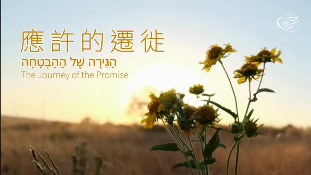 WhatsApp Image 2025-12-28 at 18.59.09.jpeg