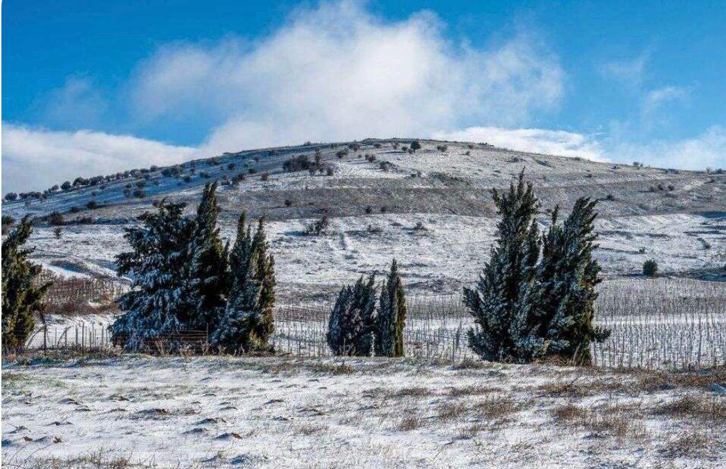  以色列气象局预测降雪范围将超出耶路撒冷和北部山区