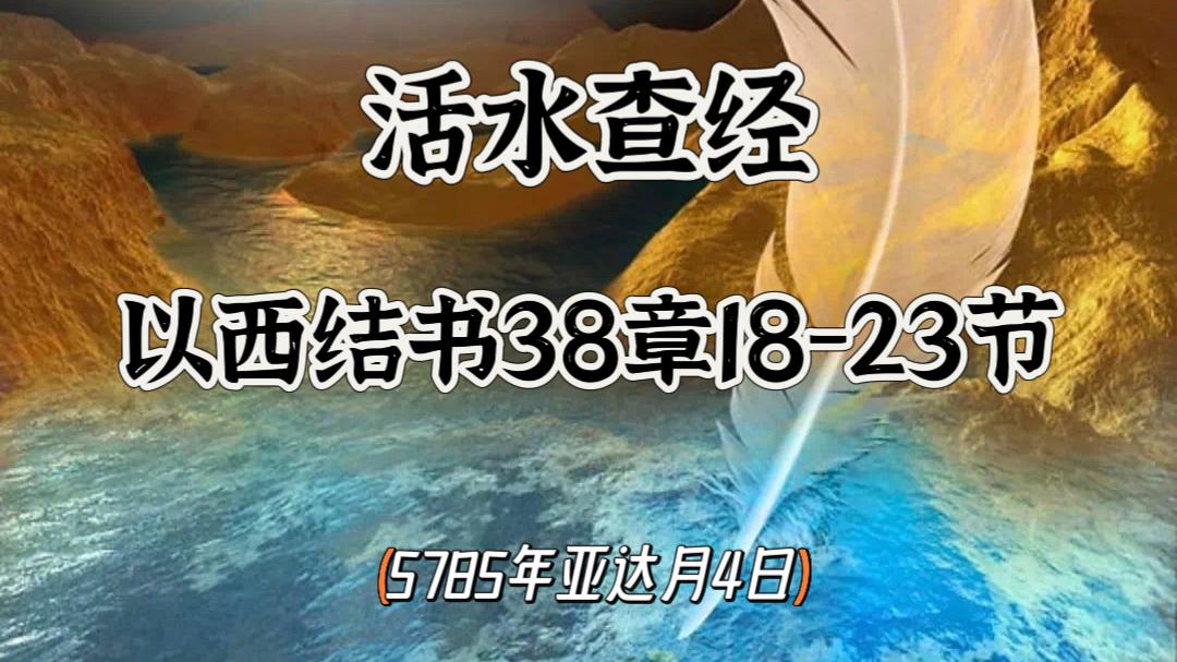 WhatsApp 图像2025-03-03于21.26.18_2b9c8e65.jpg