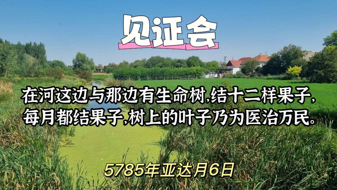 WhatsApp 图像2025-03-05于21.18.23_5bc919e2.jpg