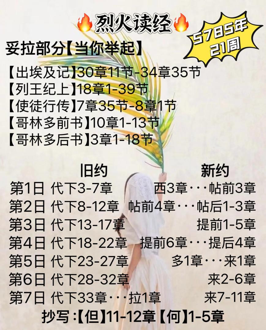 WhatsApp 图像2025-03-09于12.36.24_4d6ab891.jpg