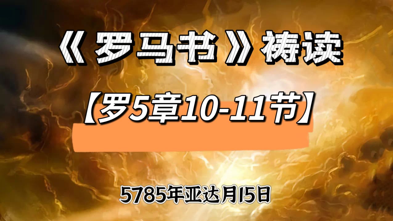 WhatsApp 图像2025-03-14于22.59.07_b3cfa698.jpg