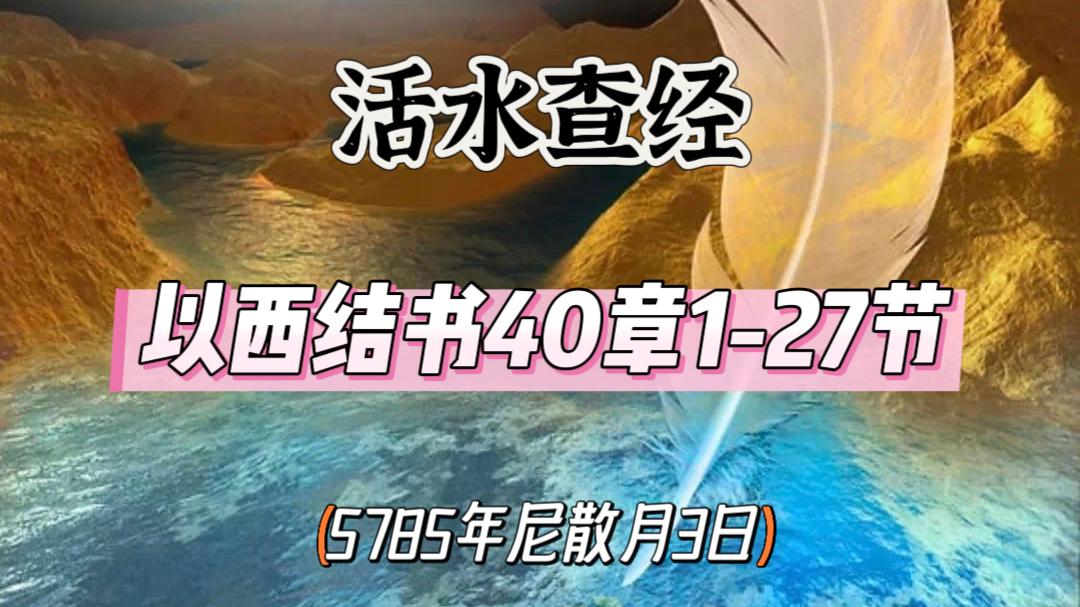 WhatsApp 图像2025-03-31于22.05.09_144dc111.jpg