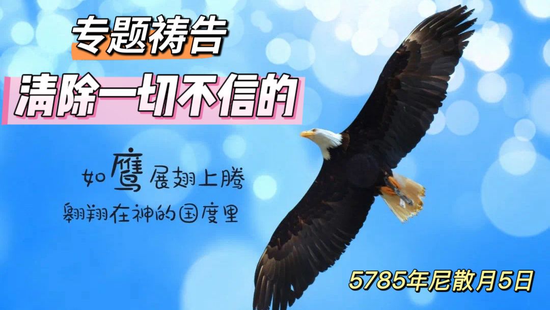 WhatsApp 图像2025-04-02于21.52.02_cb7eff8c.jpg