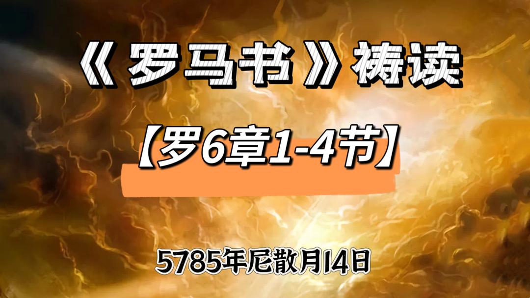 WhatsApp 图像2025-04-11于21.19.29_5f4a0f12.jpg