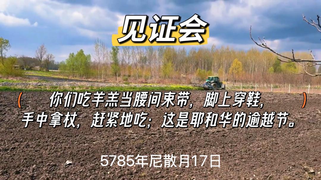 WhatsApp 图像2025-04-15于21.58.16_2a6e60da.jpg