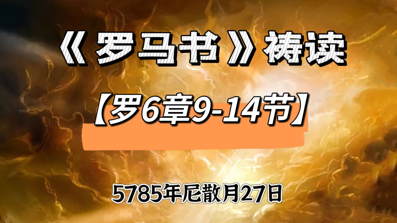 WhatsApp 图像2025-04-25于23.58.18_e31222b3.jpg