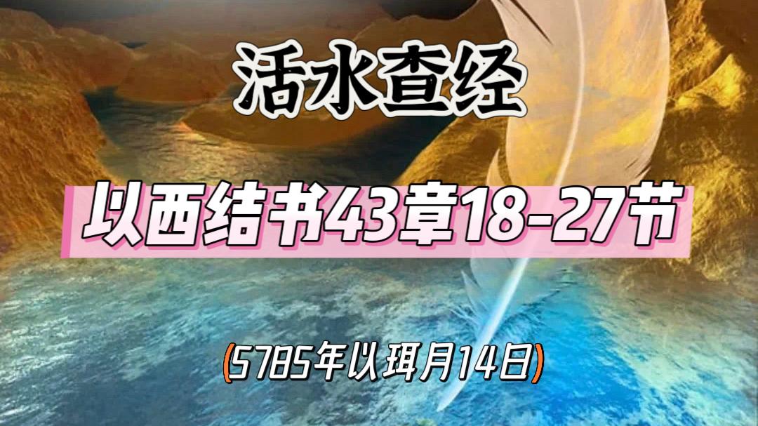 WhatsApp 图像2025-05-12于22.12.01_097e85d2.jpg