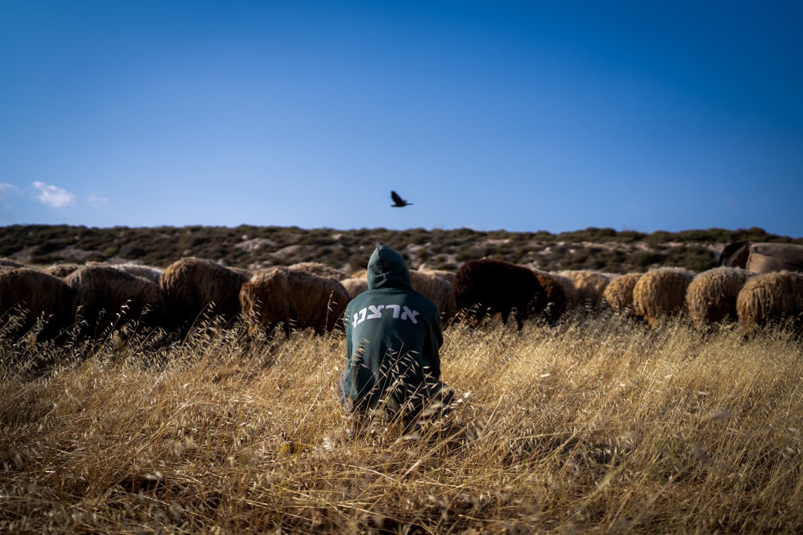 政府批准拨款约6000万谢克尔用于北部受损社区（如基里亚特什莫纳等）的经济重建，支持企业恢复运营。 ... ...