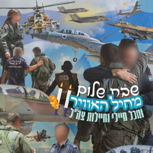 崛起之狮圆满结束  以确立伊领空制空权  以美对伊最后通...